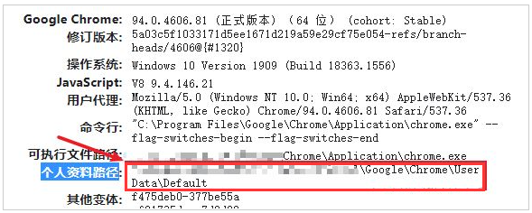 谷歌浏览器同步功能开启不了怎么办5