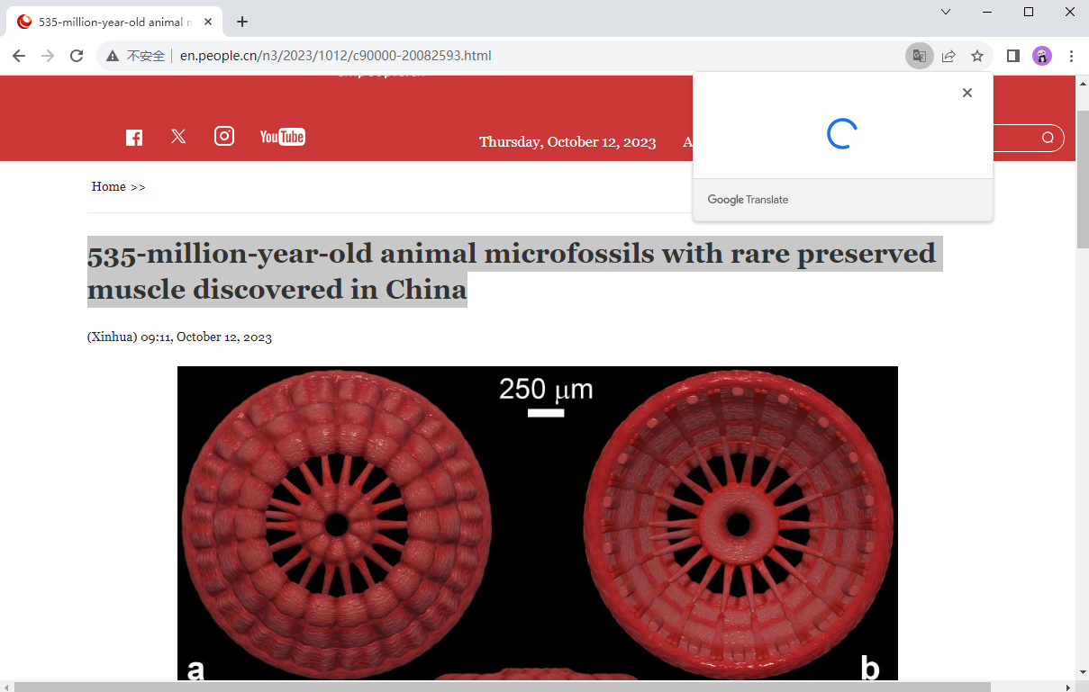 chrome最新版截图2