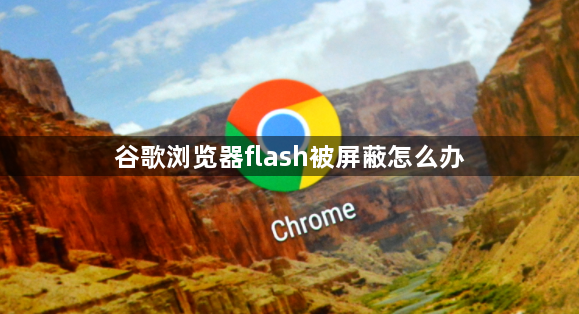 谷歌浏览器flash被屏蔽怎么办1