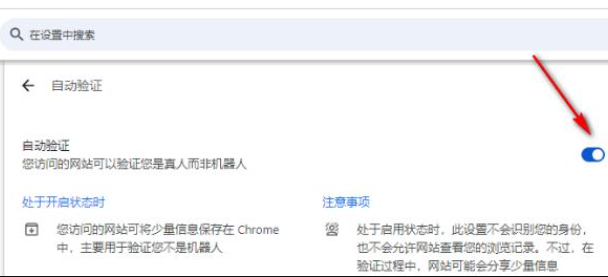 谷歌浏览器如何开启自动验证功能7