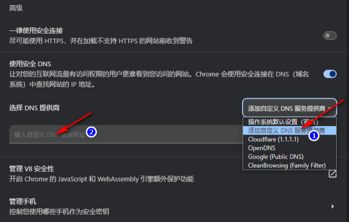 谷歌浏览器安全DNS怎么使用6