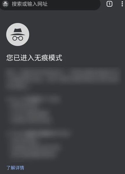 手机版谷歌浏览器怎么开启无痕模式4