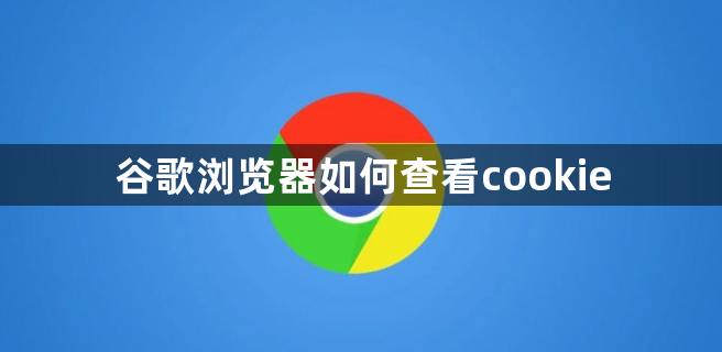 谷歌浏览器如何查看cookie1