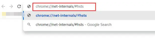 chrome浏览器怎么清除hsts缓存2