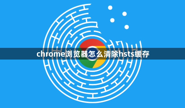 chrome浏览器怎么清除hsts缓存1