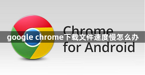 google chrome下载文件速度慢怎么办1