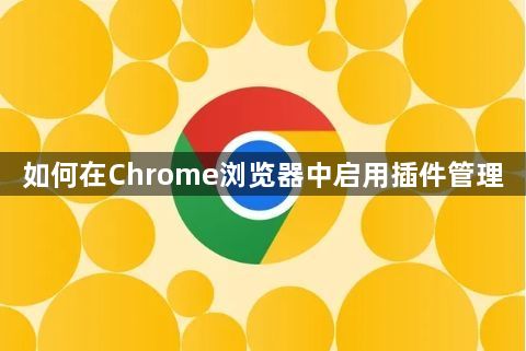 如何在Chrome浏览器中启用插件管理1