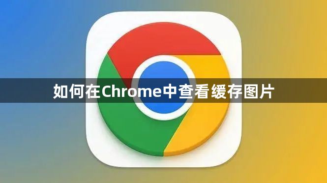 如何在Chrome中查看缓存图片1