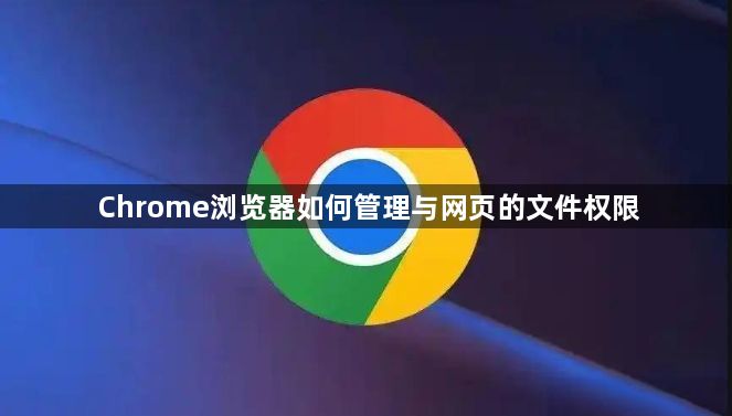 Chrome浏览器如何管理与网页的文件权限1