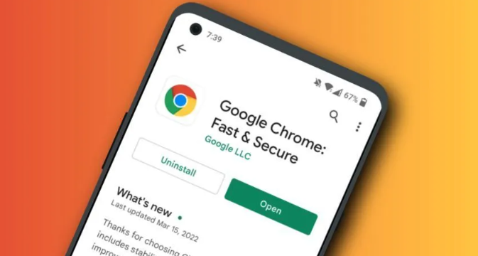 Chrome浏览器下载文件权限自动设置1