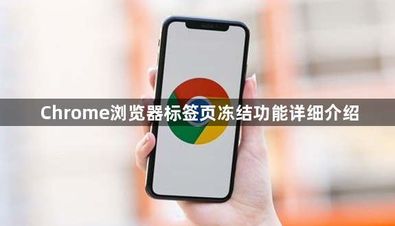 Chrome浏览器标签页冻结功能详细介绍1