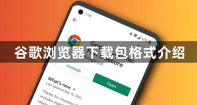 谷歌浏览器下载包格式介绍1