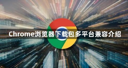 Chrome浏览器下载包多平台兼容介绍1