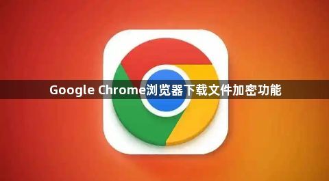 Google Chrome浏览器下载文件加密功能1