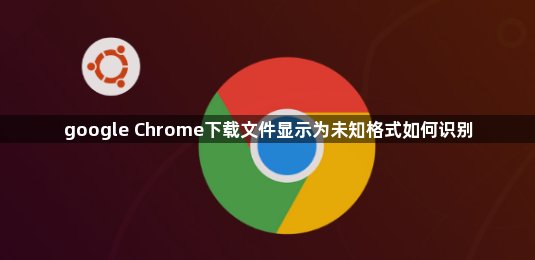 google Chrome下载文件显示为未知格式如何识别1