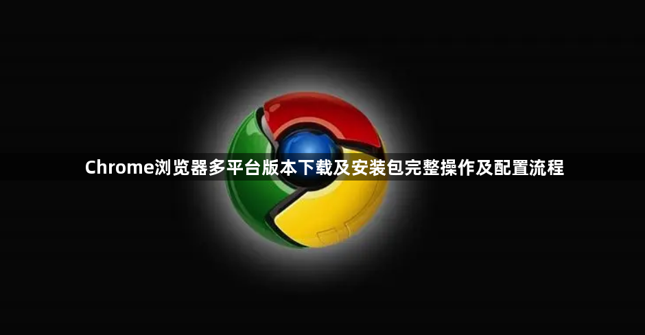 Chrome浏览器多平台版本下载及安装包完整操作及配置流程1