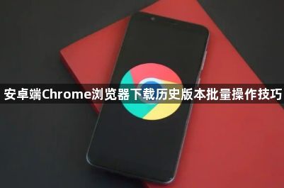 安卓端Chrome浏览器下载历史版本批量操作技巧1