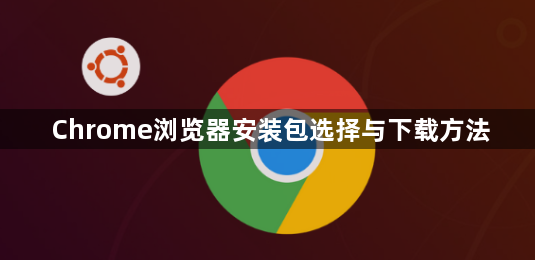 Chrome浏览器安装包选择与下载方法1
