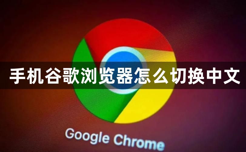 手机谷歌浏览器怎么切换中文1