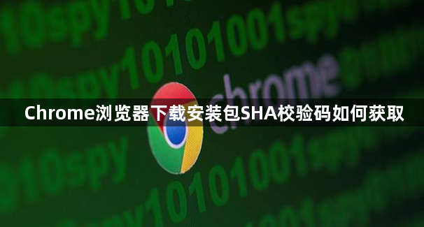 Chrome浏览器下载安装包SHA校验码如何获取1