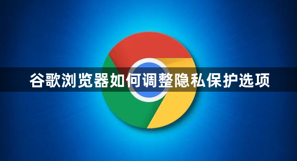 谷歌浏览器如何调整隐私保护选项1