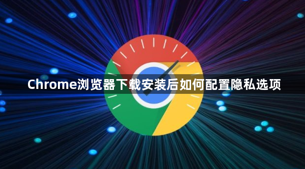 Chrome浏览器下载安装后如何配置隐私选项1