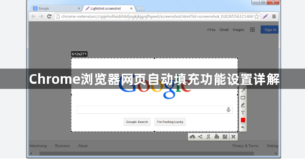 Chrome浏览器网页自动填充功能设置详解1