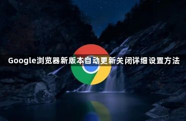 Google浏览器新版本自动更新关闭详细设置方法1