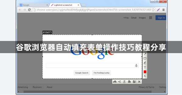 谷歌浏览器自动填充表单操作技巧教程分享1