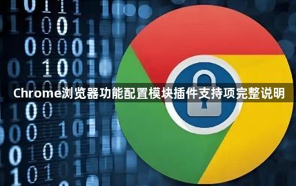 Chrome浏览器功能配置模块插件支持项完整说明1