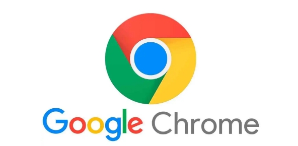 Chrome浏览器离线包下载安装防误删操作