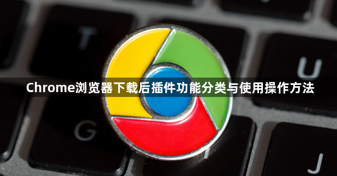 Chrome浏览器下载后插件功能分类与使用操作方法1