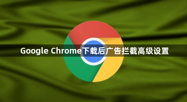 Google Chrome下载后广告拦截高级设置1