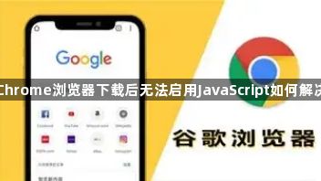 Chrome浏览器下载后无法启用JavaScript如何解决1